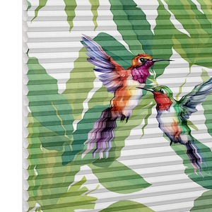 Plissee Duette&reg; Plissee Duette� EL Kolibri BorderP35402